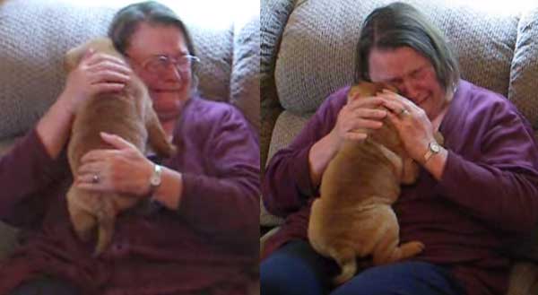 Grandma Can’t Stop Crying When She Gets Shar Pei Puppy For Mother’s Day