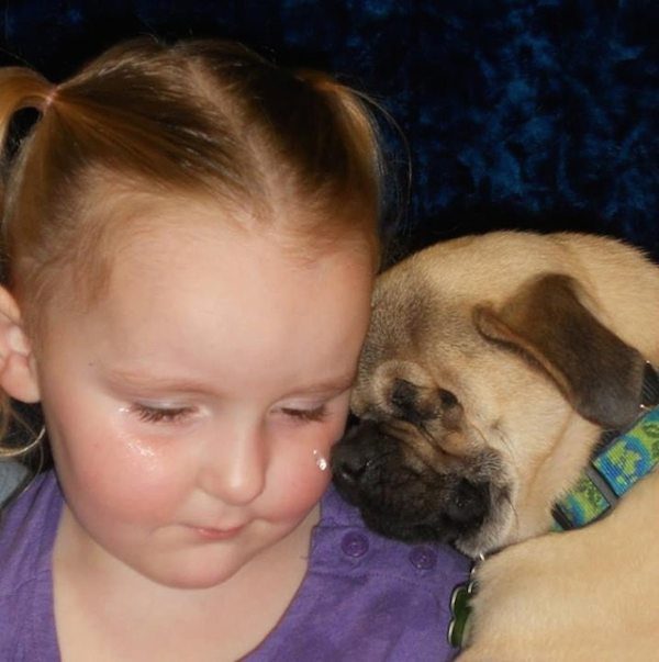 Xander the pug
