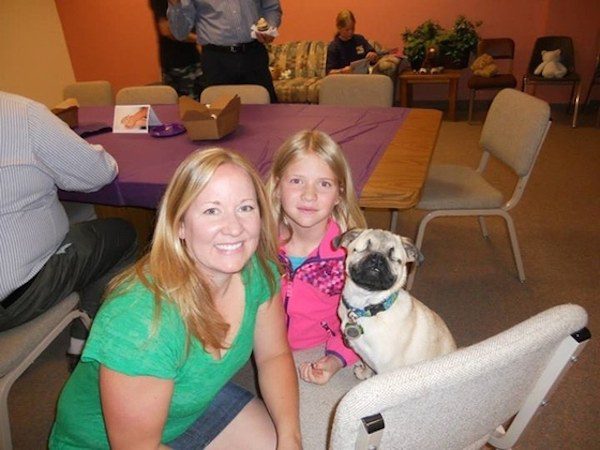 Xander the pug