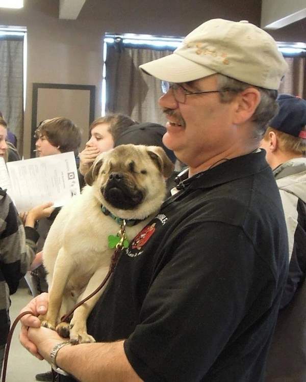 Xander the pug