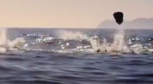 Massive Gathering Of Mobula Rays Are Filmed Leaping From The Ocean