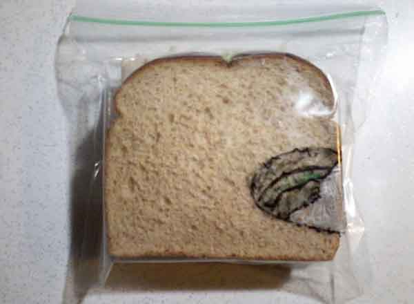 sandwich-12