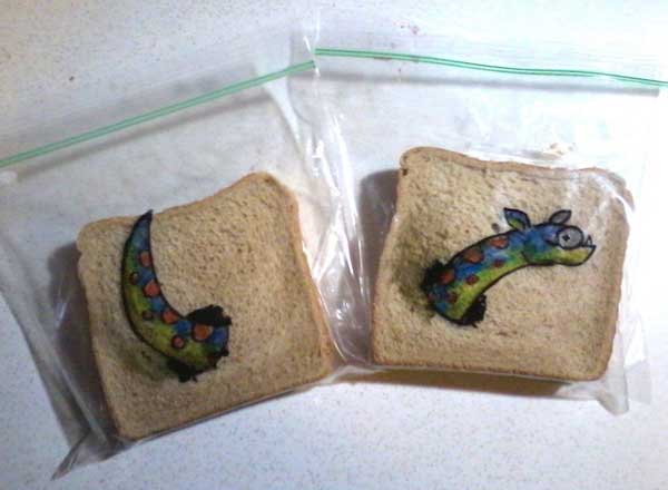 sandwich-19