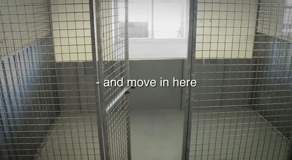 Igor had to stay at the kennel when his family went on vacation
