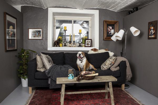 bulldog-kennel-1