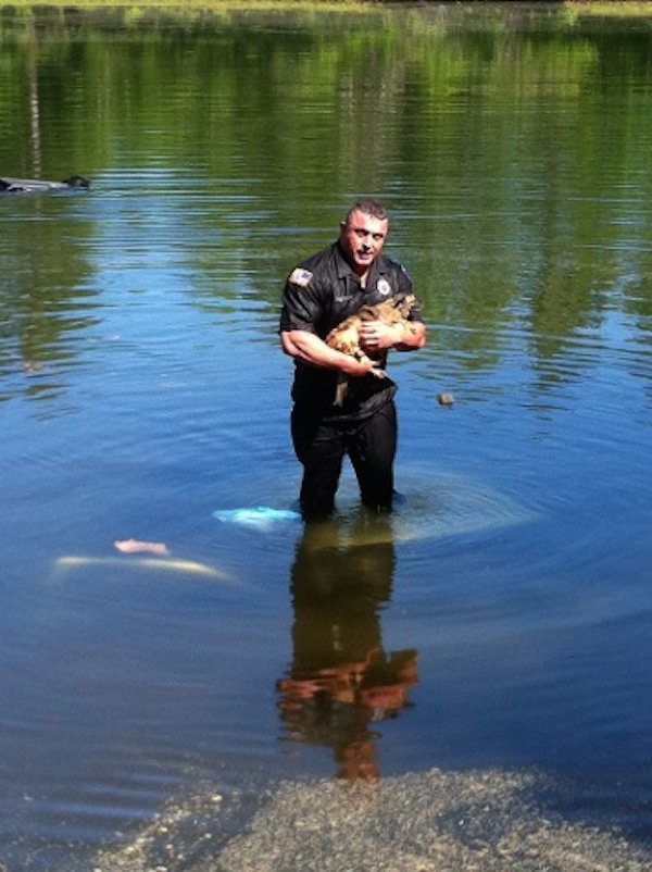 carver-police-dog-rescue