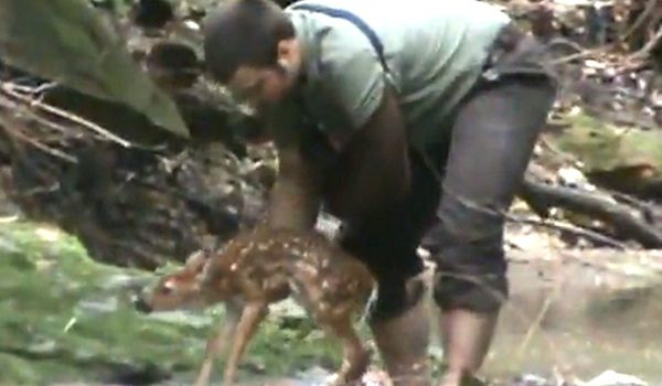 Man With Disabilities Comes To The Rescue Of Drowning Fawn