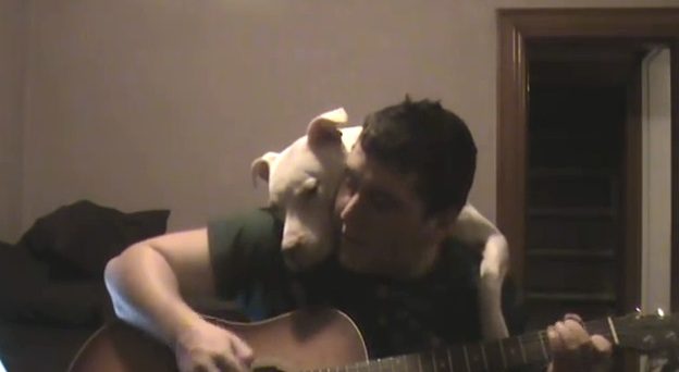 Man Wrote A Song For His Pit Bull And His Dog Has The Sweetest Response Whenever He Sings It
