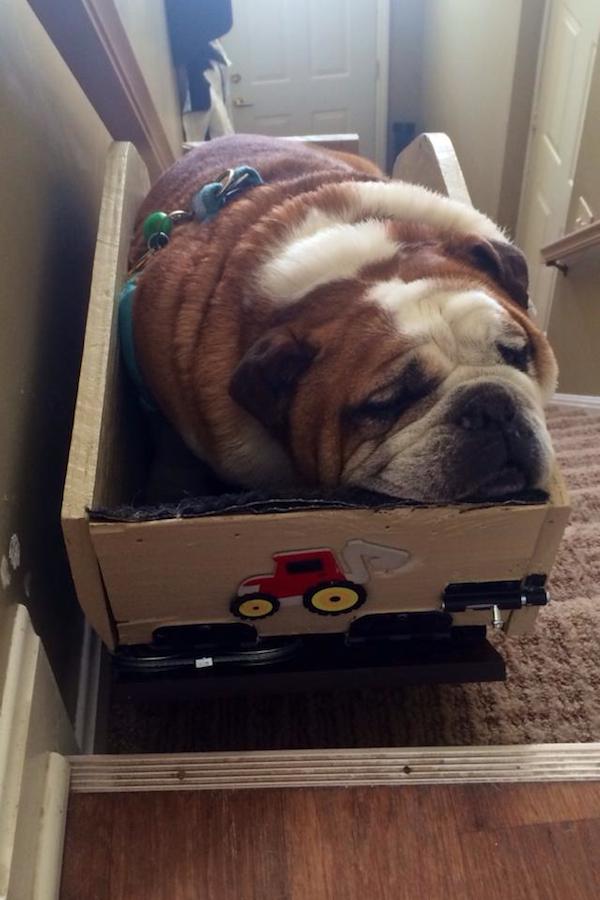 hanks-hauler