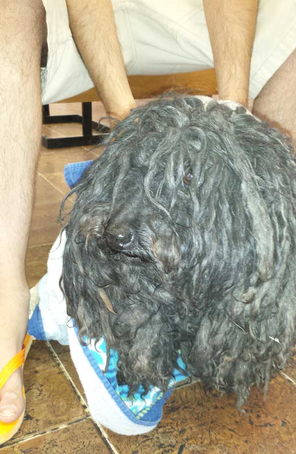 marley-05