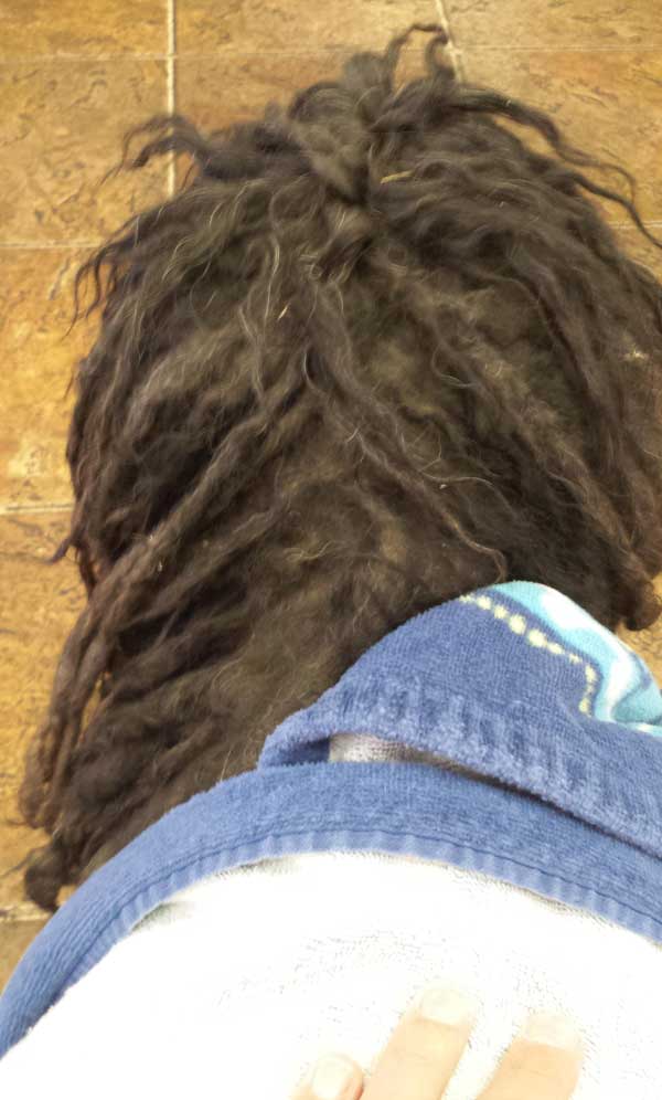 marley-09