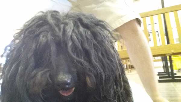 marley-10