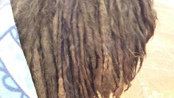marley-12