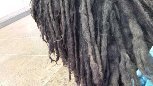 marley-13