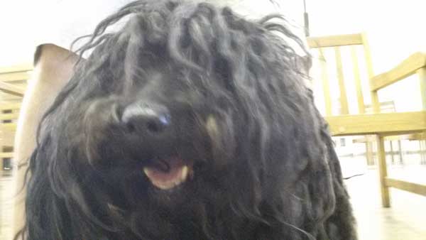 marley06