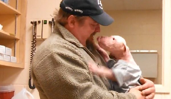 Rescued Puppy Who Was Too Weak To Eat Has Sweetest Reaction To Seeing His Rescuer