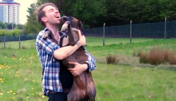 Man Reminds Dog Owners To Make The Most Of The Time You Have With Your Dog