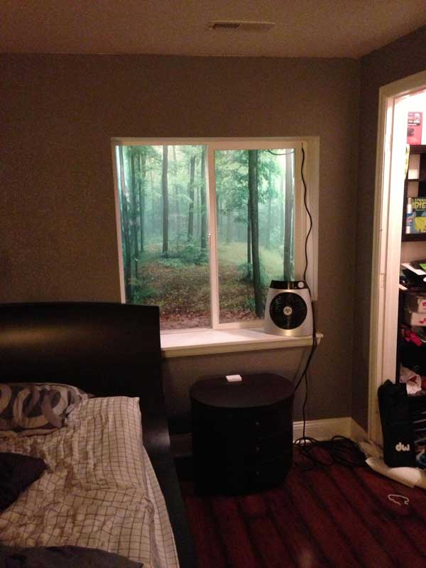 window-well-7