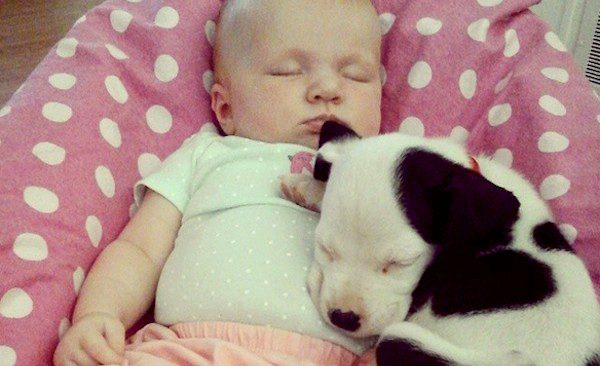 puppy and baby