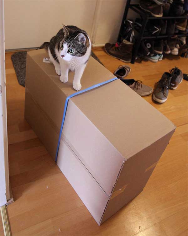 babybox-7