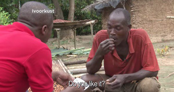 farmer tastes chocolate