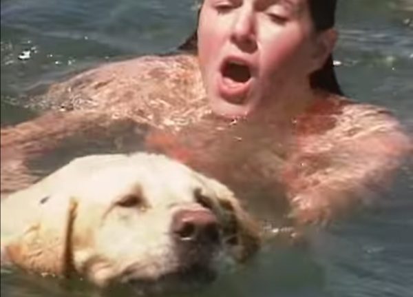 Teenager Would Have Drowned If This Blind Rescue Dog Had Not Heard Her Cries