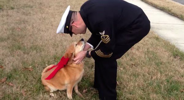 Dog with cancer heartwarming reunion with dad