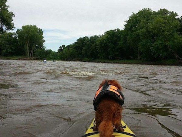 Miley on the kayak