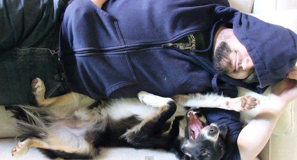 dog napping with human