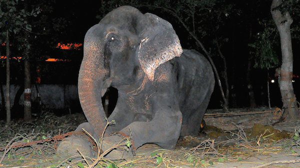 Raja cried upon his rescue