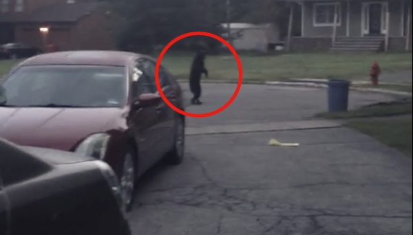 Man spots bear walking upright