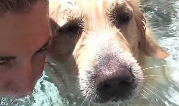 dog blows bubbles