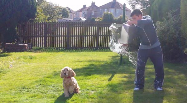dog does ice bucket challenge