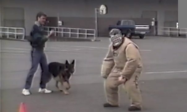 k9 blooper