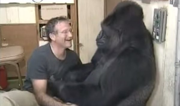 Robin Williams meet Coco