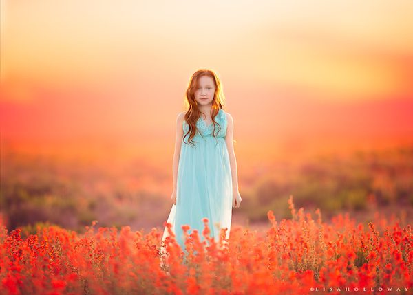 lisa-holloway-10