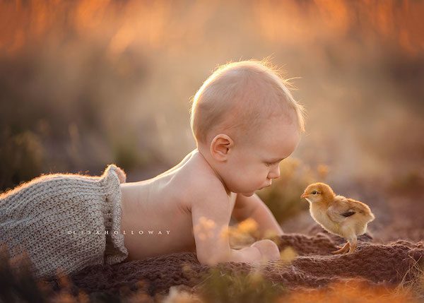 lisa-holloway-13