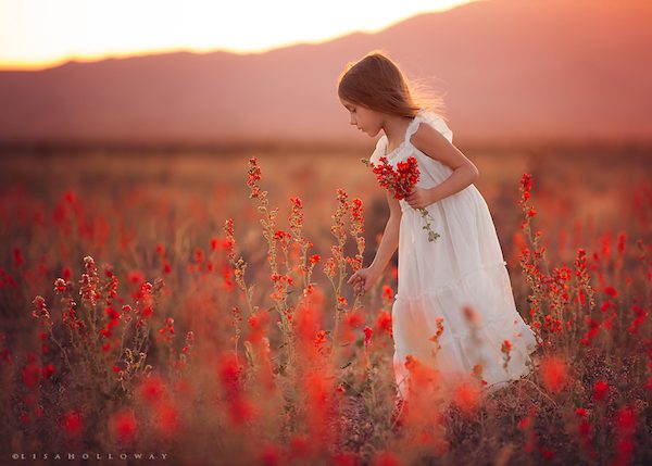 lisa-holloway-16