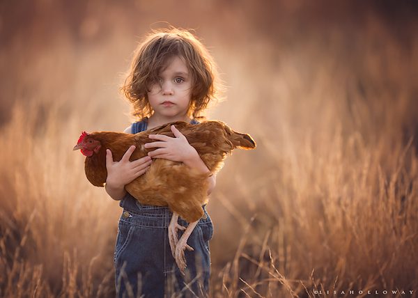 lisa-holloway-7