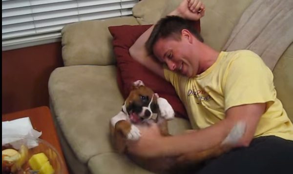 puppy tickles