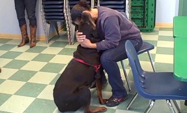 Woman Who Lost Her Dog 2 Years Ago After Her Divorce Has Emotional Surprise Reunion