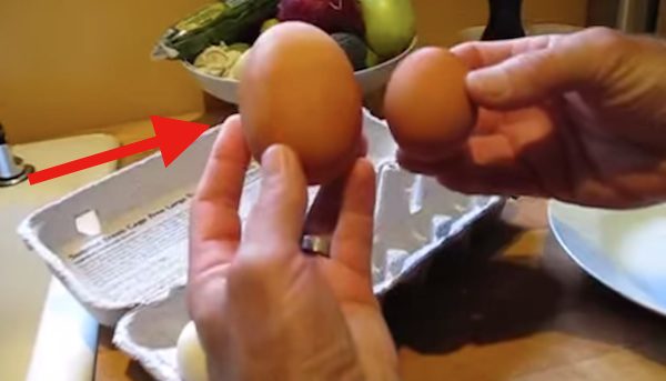 Man Finds A Huge Egg And What’s Inside Is Rare And Unusual
