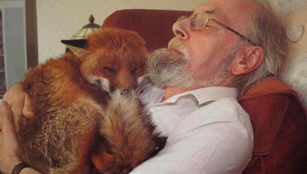 cropper the fox rescue