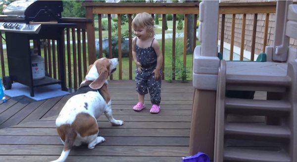 toddler and hound dance together