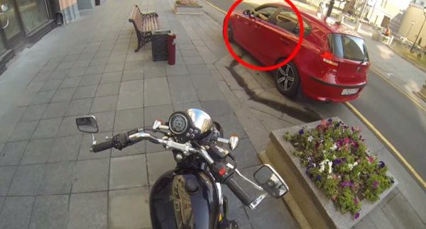 girl vs litter