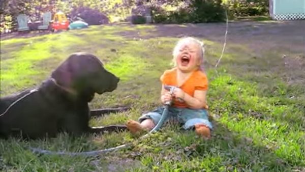 Girl And Dog Share Sweet Moment When Out Gardening