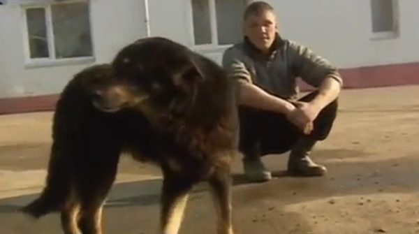 man-saves-dog-from-ice-3
