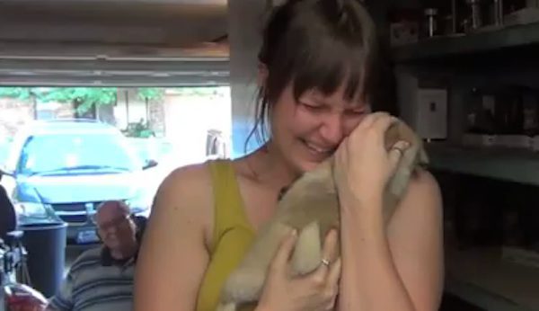 pug surprise
