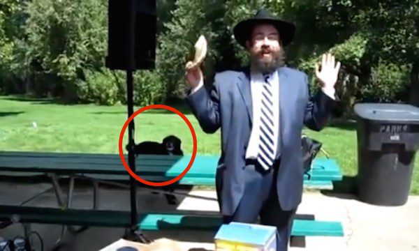 dog interrupts rabbi