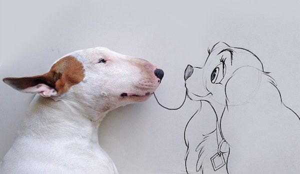 Creative Dog Lover Makes Fun Images Of His Beloved Bull Terrier